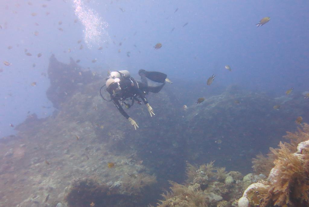 Seahua Ha Ha Tulamben Dive Resort Bagian luar foto