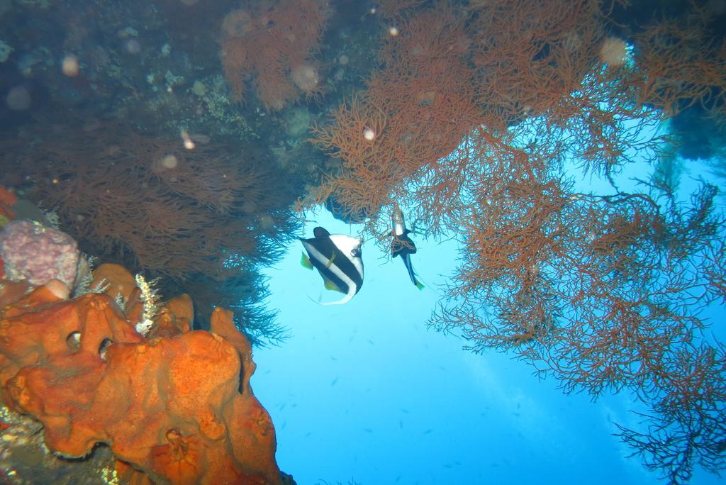 Seahua Ha Ha Tulamben Dive Resort Bagian luar foto